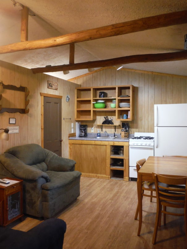 Grey Wolf cabin kitchen