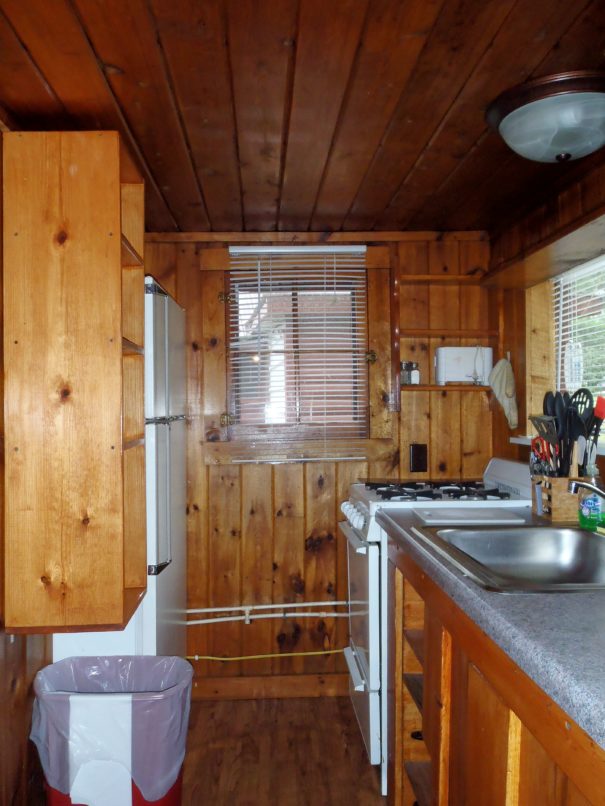 Great Moose cabin kitchen